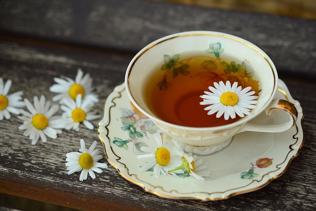 断食